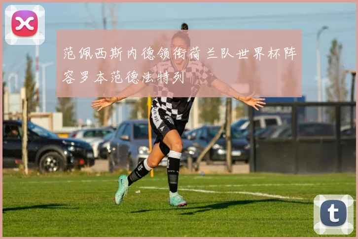 范佩西斯内德领衔荷兰队世界杯阵容罗本范德法特列
