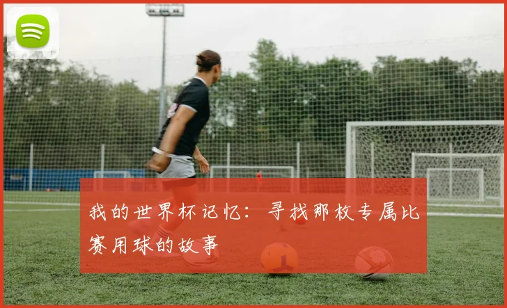 我的世界杯记忆：寻找那枚专属比赛用球的故事