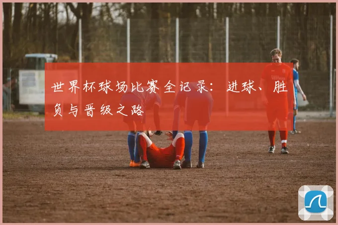 世界杯球场比赛全记录：进球、胜负与晋级之路