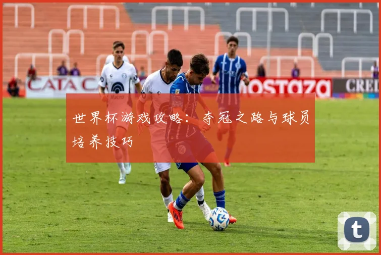世界杯游戏攻略：夺冠之路与球员培养技巧