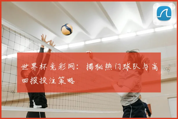 世界杯竞彩网：揭秘热门球队与高回报投注策略